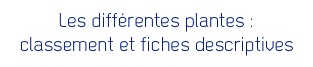 Les différentes plantes