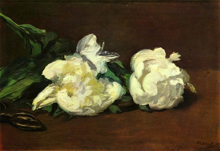 Branche de pivoine blanche et sécateur, Edouard Manet (1864)