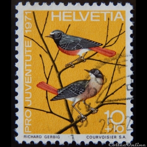 Rougequeue à front blanc - Timbre - Suisse (1971)