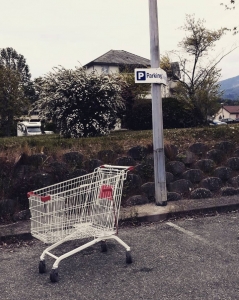 Caddie (Photographie de Claire Libaux)