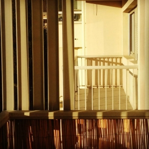 Barres (Photographie de Claire Libaux)