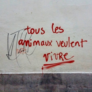 Tous les animaux veulent vivre (Photographie de Claire Libaux)