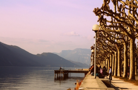 Au bord du lac II (Photographie de Claire Libaux)