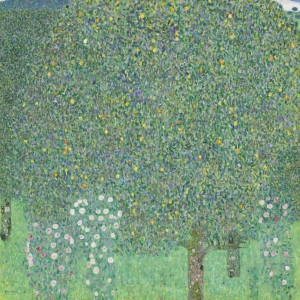 Roses under the trees (1905) - Gustav Klimt