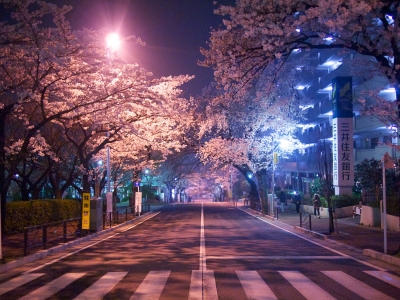 Image no. 234