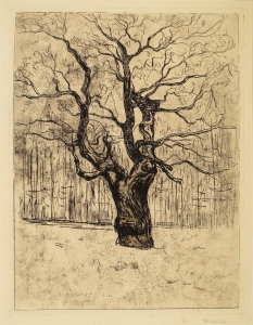 Le chêne, Edvard Munch (1903)