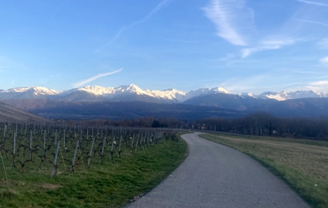 La chaîne des Belledonnes vue depuis Chignin (Savoie)