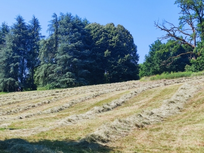 Foins au parc de Buisson Rond à Chambéry