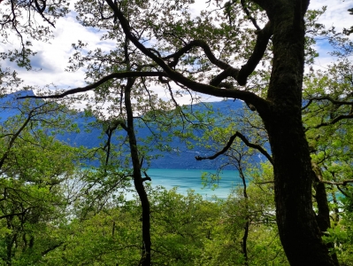 Le lac du Bourget depuis la forêt de Corsuet (Savoie)