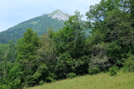 Pointe de la Galoppaz (Savoie)