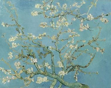 Almond Blossoms - Van Gogh (1890)